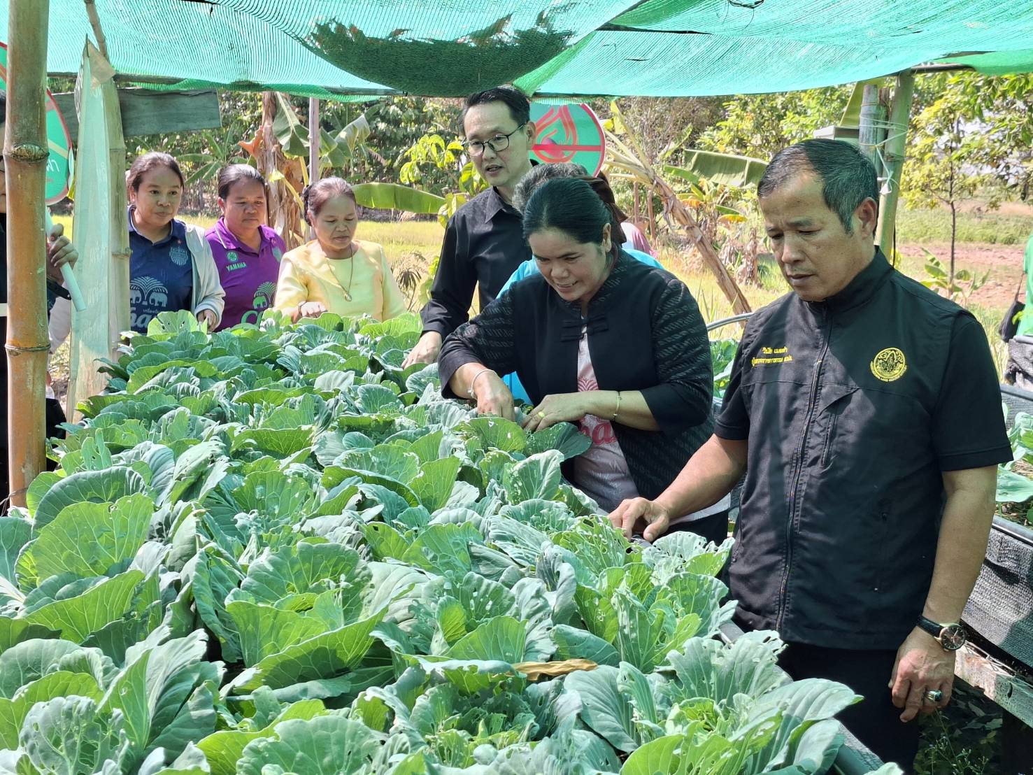 title - ผู้ตรวจราชการกรม ลงพื้นที่ตรวจเยี่ยมแปลงเกษตรต้นแบบในเขตปฏิรูปที่ดิน จังหวัดบุรีรัมย์